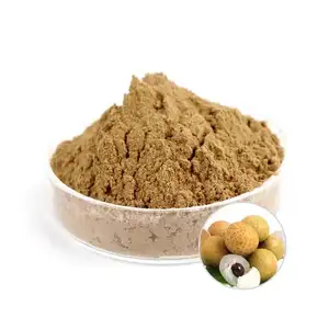 Hot Selling Tropical Longan Fruit Meat Juice Powder/Longan Extract Powder