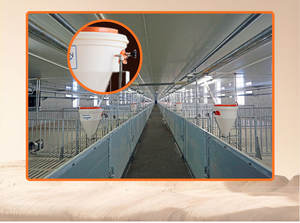 Comedero Automático para Cerdos de la Marca Hengyin, de Buena Calidad, Nuevo, de Plástico y Acero, para Alimentación Húmeda y Seca, Blanco, 50 kg, 1 Año de Garantía - Product Image 3