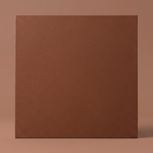 Piastrella in Terracotta Quebec 29,7x29,7 Cm 8 Mm Finitura Opaca Bordi Irregolari - Product Image 1