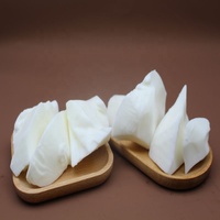 Vente en gros de cire de soja naturelle sans fumée et de bloc de cire de noix de coco vierge pour une fabrication efficace de bougies