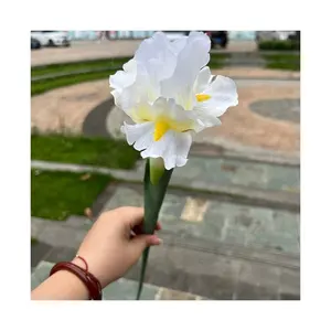 High Quality RG-543 Artificial Silk Alice Iris Artificial Flower Iris Natural Simulation Flower for Indoor Outdoor Decorations