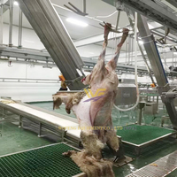 Equipo de matanza de ovejas Máquina de ocultación para matadero de cabras u ovejas