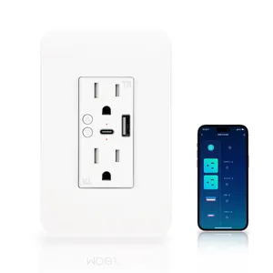 2024 Smart USB Wall Outlet Receptacle Wifi Smart Life Wall Socket Power Socket with 12 Outlets 2500w Max Power US plug 2Outlets