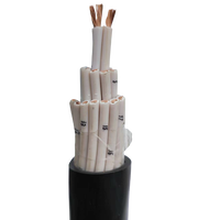 Cable de Control MKVVP2 Retardante de Llama, Múltiples Núcleos, Blindado con Cinta de Cobre, Aislamiento de PVC, Revestimiento de PVC, para Minas de Carbón