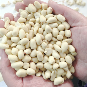 באיכות גבוהה כיתה בוטנים מיובשים חתוכים מחורץ חם מכירה לחטיפים ואקום ארוז במחיר טוב - Product Image 4