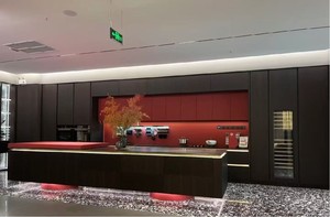ชุดตู้ครัวสำเร็จรูปดีไซน์หรูหราสไตล์อิตาลีสำหรับโรงแรมเชิงพาณิชย์ทันสมัย พร้อมตู้เก็บของติดผนังและชุดไอส์แลนด์สำหรับห้องนั่งเล่น โครงสร้างโลหะ - Product Image 4