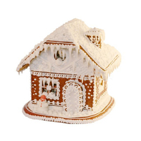 Boîte cadeau en gros avec biscuits maison en pain d'épices de Noël à faire soi-même, délicieux biscuits à la saveur de gingembre