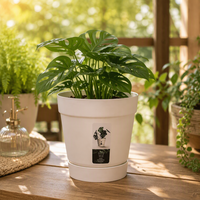 Pot Bunga PP Bentuk Meruncing dengan Alas Terintegrasi, Lubang Drainase, Finishing Matte, Untuk Penggunaan di Lantai, Ukuran Besar, Ramah Lingkungan, Untuk Berkebun di Rumah