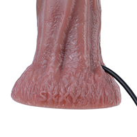 SXXY Long Plug Anal Réaliste avec Endoscope Intelligent 8 LED et Caméra HD pour Stimulation Profonde du Point G et de la Prostate – Jouets Sexuels pour Adultes