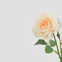 Bouquet de mariée en fleurs artificielles réalistes à toucher naturel, roses hydratantes, décoration de mariage, fleurs de roses réalistes, décoration de fête à domicile
