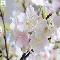Usine Vente Chaude En Gros Soie Artificielle Rose Clair Blanc Fleur De Cerisier Fleur De Mariage Fausses Fleurs Branches