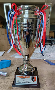 <span class=keywords><strong>Coupe</strong></span> de trophée en métal plaqué or 2026, gravée sur mesure, trophée de compétition sportive sculpté, trophée globe terrestre 3D - Product Image 6