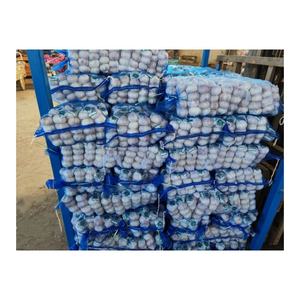 Compre ajo de paquete pequeño de Tianqin, venta al por mayor, ajo normal, ajo blanco puro, al mercado de exportación Dubái - Product Image 3