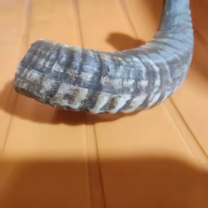 Cuerno para masticar perros Disponible en tamaños pequeños y grandes para masticadores agresivos-Hecho por artesanía creciente - Product Image 1