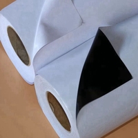Vinilo Autoadhesivo de PVC - Acabado Brillante/Mate Imprimible, Flexible, Resistente a los Rayos UV y al Agua para Paredes y Automóviles
