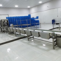 Équipement d'abattage automatique OEM à haute efficacité pour poulet, poisson, pattes, ailes, griffes, machine de tri par poids, ligne d'abattage en acier