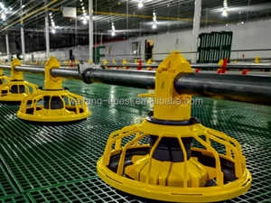 Система для выращивания бройлеров на 10000-15000 птиц: полностью автоматическая система контроля температуры, кормушки и поилки из ПВХ/ПП материалов - Product Image 2