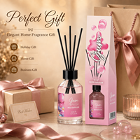 Diffuseur de parfum d'ambiance 100 ml sans flamme, bâtonnets parfumés, huile parfumée longue durée, désodorisant d'ambiance sans feu, sûr pour la maison