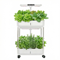 Système de culture hydroponique intelligent à double couche de grande capacité 10-20L, jardin d'intérieur, jardinière pour légumes, éclairage LED pour la culture, Starfarm