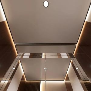 Ascenseur domestique haut de gamme, sûr, stable, silencieux et à traction, pour villas de luxe et maisons individuelles. - Product Image 2