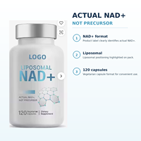 Complément Liposomal NAD+ OEM en Capsules Végétariennes pour Soutenir la Fonction Mitochondriale et la Santé Cellulaire des Adultes – Marque Privée