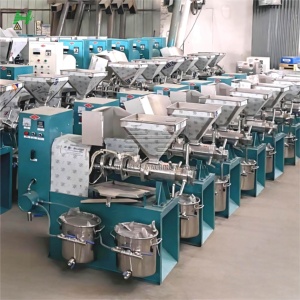 Machine d'extraction d'huile de noix de coco, machine à huile de sésame, presse à huile professionnelle, extracteur 6yl-a60, presse à huile à arbre, machine à huile C - Product Image 3