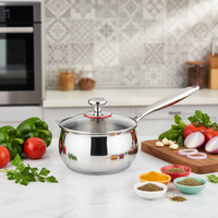 Vente en gros usine : Ensemble de casseroles multifonctionnelles 16 cm pour nouilles instantanées, compatible gaz et induction, en acier inoxydable à longue poignée, design Japandi, pour friture et soupes