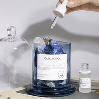 Vente en gros de jeux de diffuseurs de roseaux de marque privée personnalisés parfum naturel huile essentielle aromathérapie avec pierre de cristal pour les cadeaux