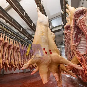 Dễ dàng hoạt động nhỏ Lò mổ thiết kế thịt lợn Lò mổ nhà máy carcass truyền đạt đường sắt lợn Máy giết mổ thiết bị Lò mổ