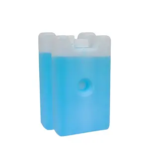 Mini caixa de gelo de plástico para armazenar alimentos, caixa de gelo piquenique com 400g de plástico-12 graus para armazenar alimentos