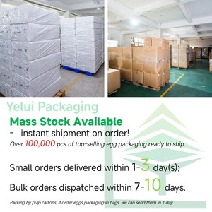 Kunststoff 30 Zellen Jumbo Hühnereier Karton im Großhandel recycelbar für Enten eier - Product Image 4