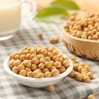 Soja jaune de qualité supérieure, grains entiers propres pour la production de tofu et de lait de soja, fournisseur en gros en Chine