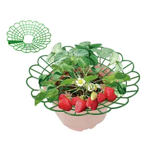 DD2336 Plant Support Stand Holder Keep Berries Clean Growing Racks with 4 Sturdy Legs Protector Frame Strawberry Supports