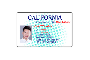 Carta d'Identità Stampabile ad Alta Sicurezza, Tessera in Policarbonato Contactless, Carta Intelligente RFID NFC - Product Image 6