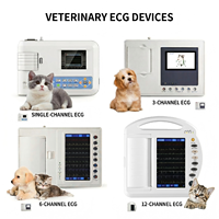 JZ-TEC301 EKG Cihazı 12 Kanallı 3 Kanal EKG Cihazı Kalp Cihazı Taşınabilir EKG Cihazı Elektronik El Tipi EKG Veteriner