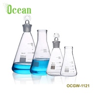 Grands verres en céramique de laboratoire, gobelets à col Large et étroit, erlenmeyer