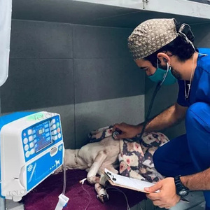 Pompa Infus Profesional LHW100 untuk Hewan, Harga Instrumen Veteriner Pompa Infus untuk Klinik Hewan - Product Image 2