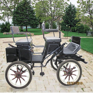 Trasporto speciale in acciaio carretto per la maratona di formazione - Product Image 6