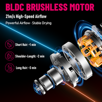 Sèche-cheveux professionnel FirePhoenix 8960 MAX PRO 3000W à moteur BLDC haute performance, faible bruit 71dB, boîtier en nylon PA