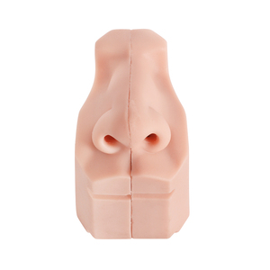 Silicone Anatomical Model for Medical School Training <strong>Nasal</strong> Exam Manikin <strong>Skeleton</strong> Model in Medical Science - Product Image 2