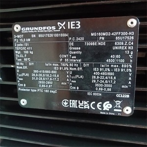 Moteur Grundfos MG160MD2 42FF300 H 15 kW Triphasé 3000 tr/min Montage à bride Usage industriel - Product Image 1