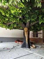 Arbre à Monnaie Artificiel Pachira Aquatica, Feuilles Réalistes, Décoration Intérieure pour Bureau, Centre Commercial, Hôtel, Arbre de la Fortune