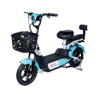 Sepeda Listrik Dewasa Grosir E-Bike Baterai 48V Skuter Listrik Kustom Dengan Pedal untuk Dewasa Kustomisasi OEM ODM
