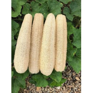 Whole Natural Organic Loofah <b>Sponges</b> Exfoliating <b>Shower</b> Bath Loofah Luffa Body <b>Sponge</b> for SPA Beauty Skin Care about 30-40cm - Product Image 5