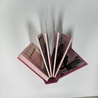 Palette cosmétique vide rigide, brillante, pliable, multi-pages, personnalisable en gros pour le remplissage de fards à maquillage