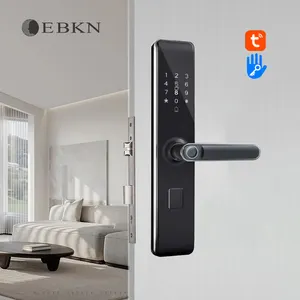 EBKN IP66 Cerraduras Inteligentes Con Wifi NFC digital door lock waterproof smart lock door