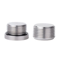 Bouchon en acier inoxydable ss304 raccord BSPT / BSPP / NPT filetage mâle 304 embout hexagonal en acier inoxydable prise hexagonale intérieure