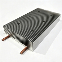 Dissipateur thermique à refroidissement par eau 120(L)*36(H)*210(P)mm avec tubes en cuivre intégrés, dissipateur thermique en aluminium pour composants puissants