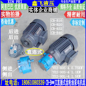 Unidades de Motor de Bomba de Aceite de Engranajes de Accionamiento Directo CB-B16JZ, CB-B20JZ, CB-B25JZ, CB-B32JZ para Bombeo en Campos Petrolíferos - Product Image 3