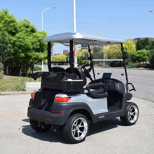 Golf Cart <b>2</b> <b>Passengers</b> High Quality Buggy Customized Motor Acid Battery Controller Lead Color Typ - Product Image 6